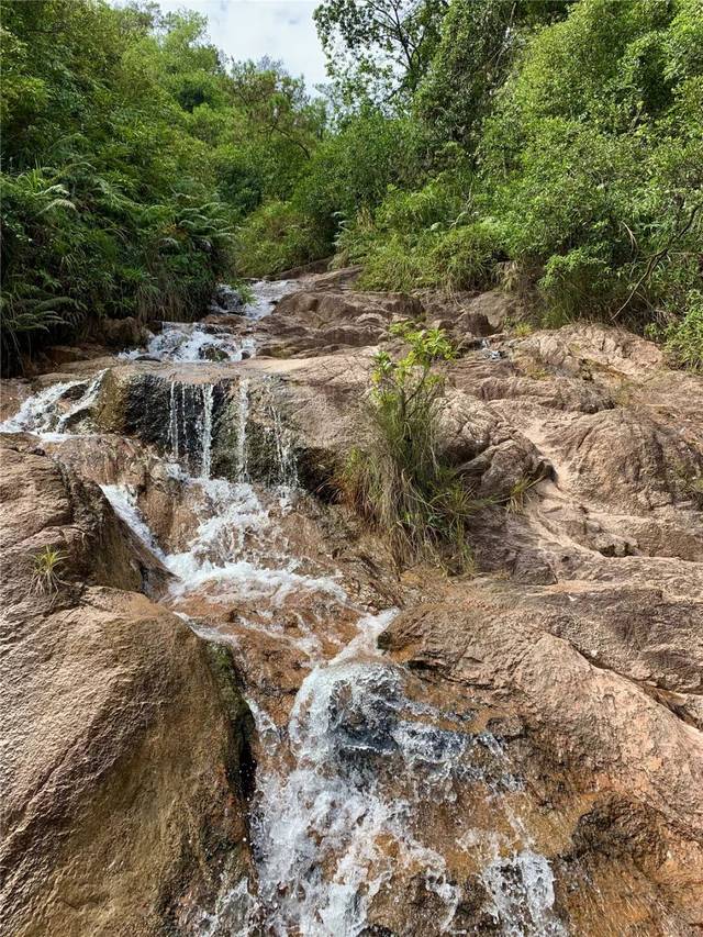 27 环线徒步丨穿越中山金钟水库,不走寻常路,去野!