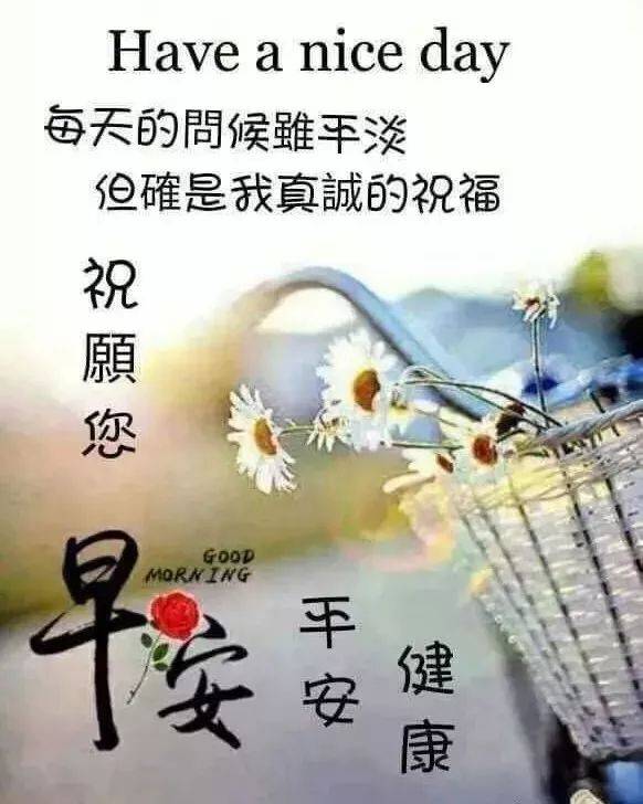 残秋早上好,微信最好看的早安祝福语图片大全