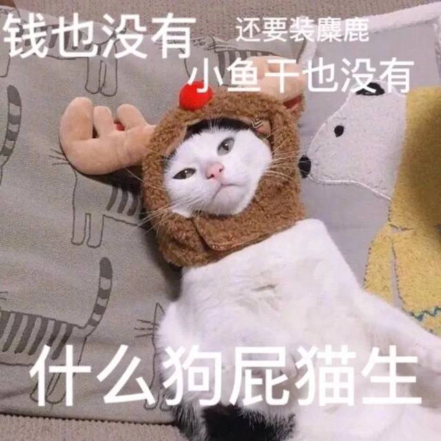 热门斗图表情包 | 开始等过年!
