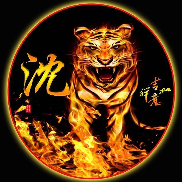 快来换个微信头像吧,超霸气的火焰虎姓氏头像,有你喜欢的吗