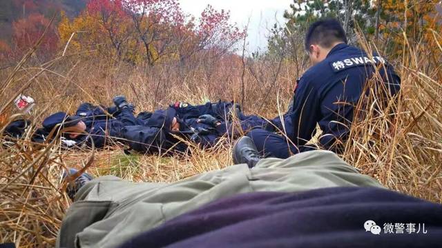 辽宁朝阳县重大刑事案件成功告破,犯罪嫌疑人被民警在大雨中擒获!