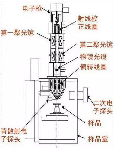 现代电子显微镜的极限放大倍率已经达到300万倍!