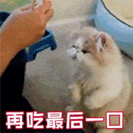 卍 你们不点赞不收藏都对不起小编哼 舞蹈生无印良品舞蹈老师表情包假