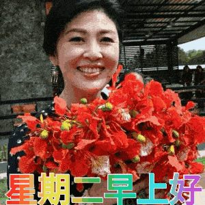 2019年《聊天表情图库》太美了!不打字就能聊天!