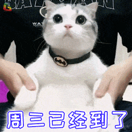 卍 你们不点赞不收藏都对不起小编哼 舞蹈生无印良品舞蹈老师表情包假