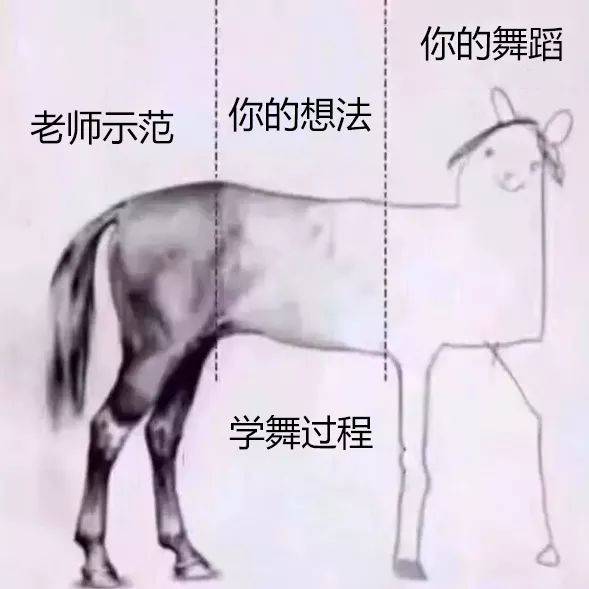 舞蹈生的表情包,哈~哈~哈~哈