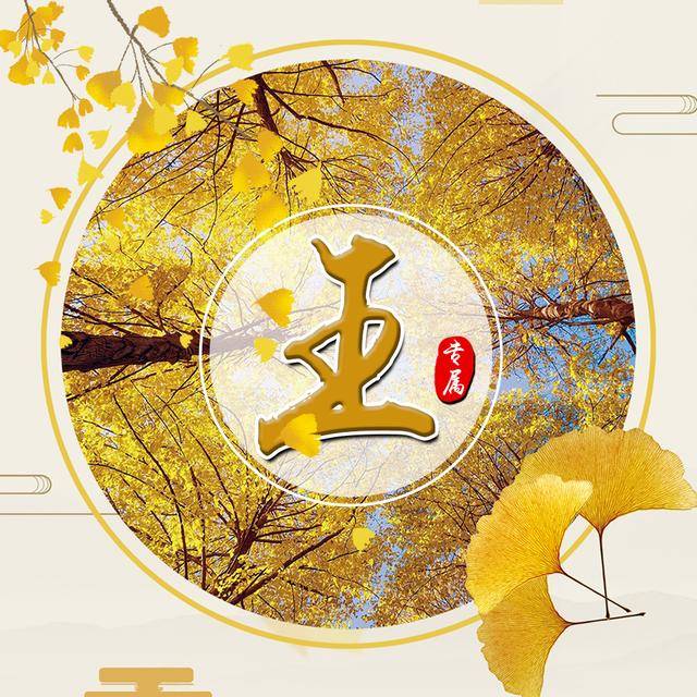 秋风扫落叶,你该换头像,送给你11款银杏叶姓氏头像