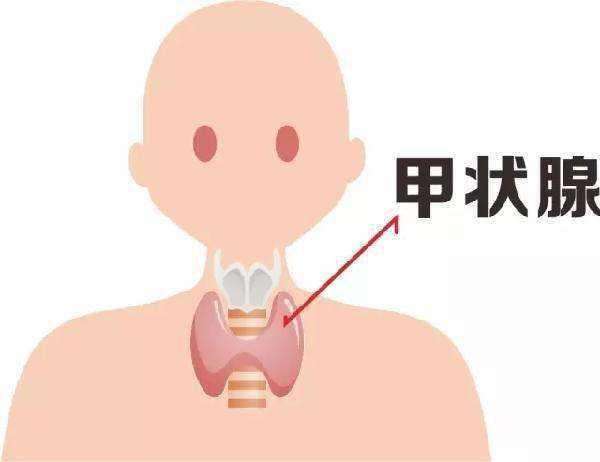 甲状腺肿大是怎么引起的?这7个都可能是罪魁祸首,值得警惕