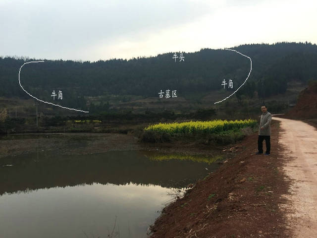 四川坟墓风水名地牛形宝地,风水大师王君植带重庆弟子