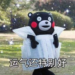 这壁纸绝了换上的人都有好事发生超治愈