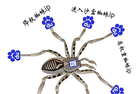 做网站优化，你必须要懂的百度蜘蛛网站抓取规则！