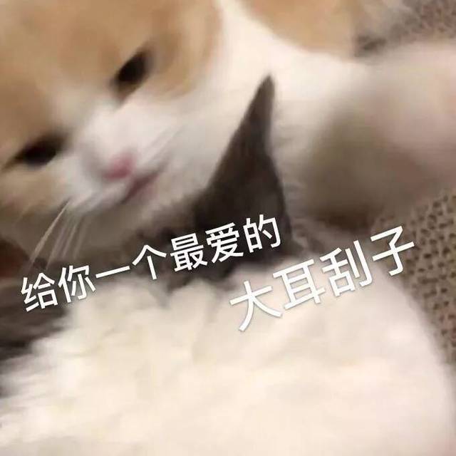 低头认错