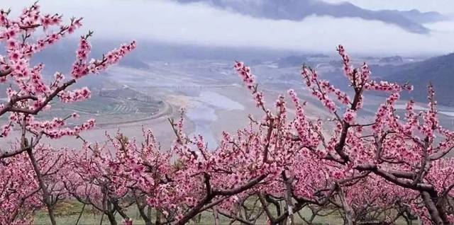 桃花山景区