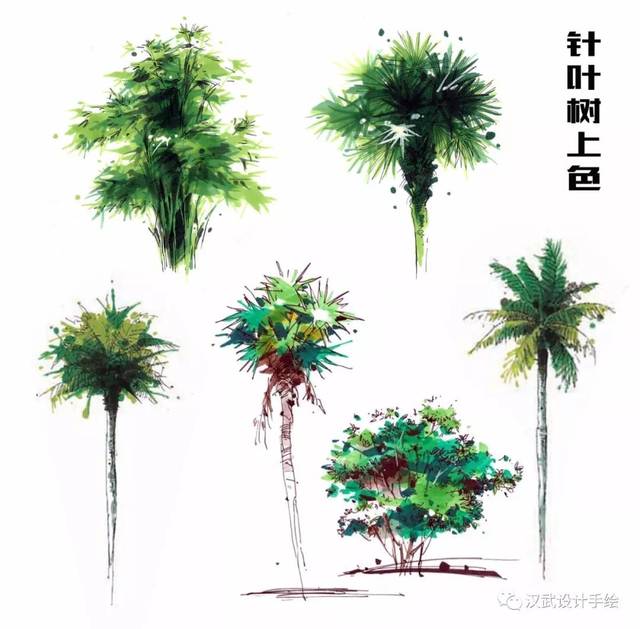 干货|马克笔植物手绘教程案例分享