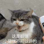 对猫的心理健康的影响:猫咪长期处于应激状态下会变得焦虑,沮丧,在