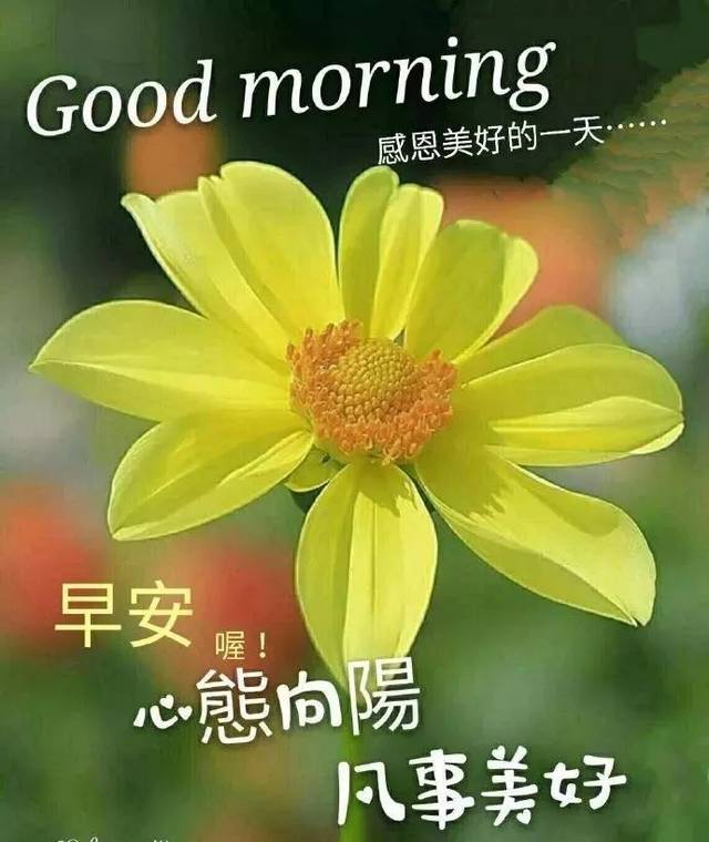 清晨漂亮的早上好表情图片问候语录,10月最美的早安问候图片表情带字