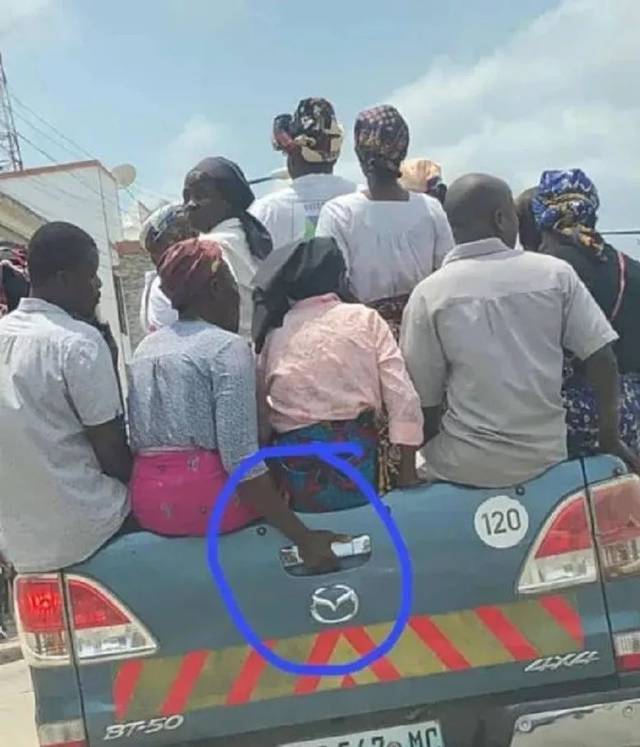 「微笑生活」来吧,学一学鸽子说话