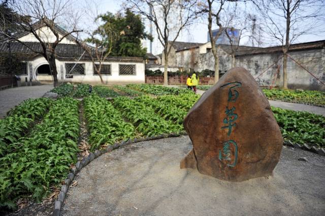 ▌鲁迅故居百草园