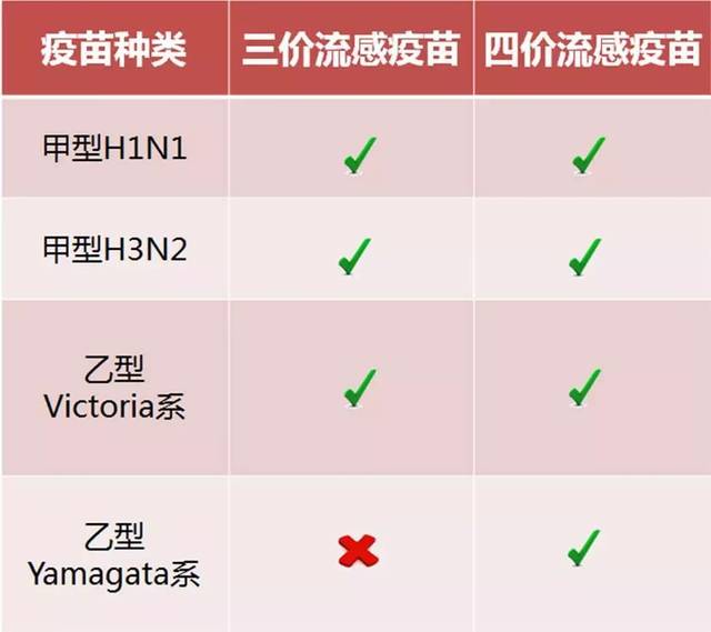 成人型流感疫苗明天到货望牛墩啦三价和四价都有