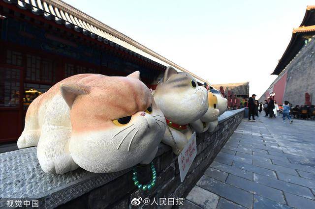 故宫现巨型御猫,以明代锦衣卫,清代御前侍卫形象出现