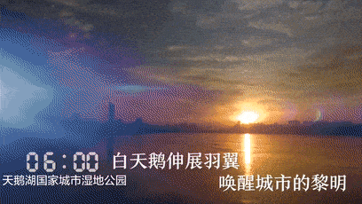 微视频|光辉岁月·河南24小时 三门峡篇