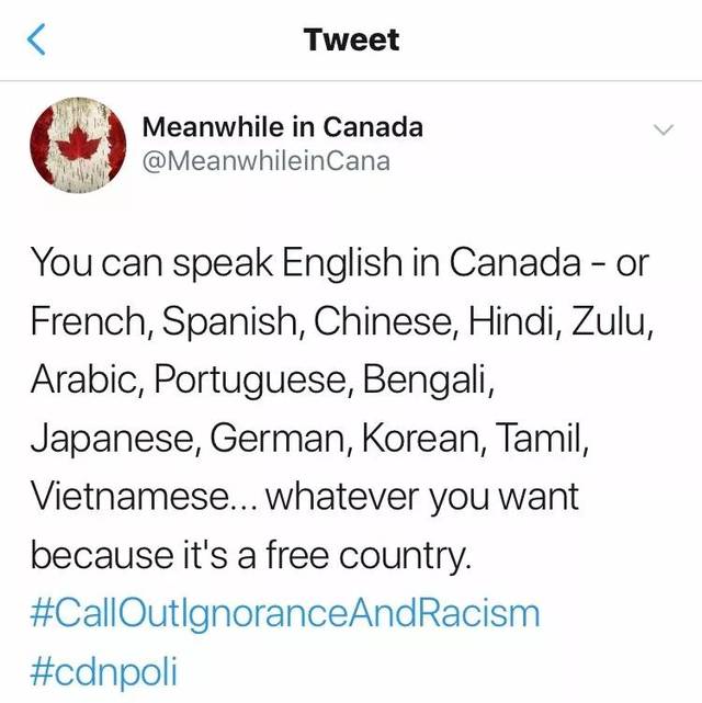 在加拿大必须说英语不能说中文吗呵呵