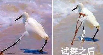 30—— 总有一些人 喜欢在犯法的边缘试探着 加大龄再婚群,奔结婚