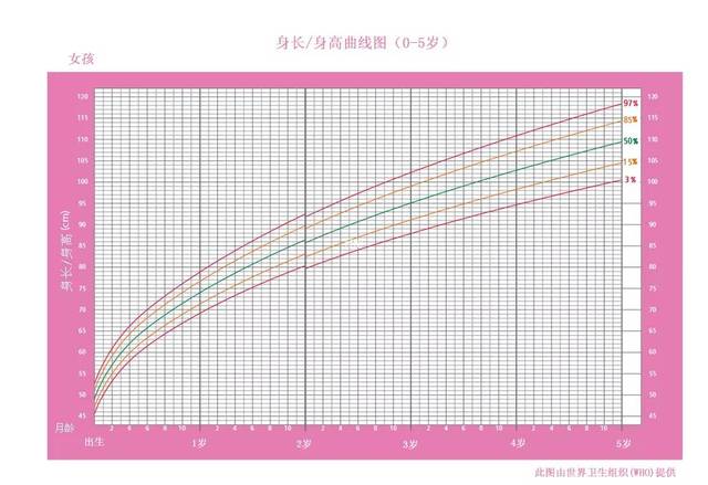 女宝宝身高/体重曲线图