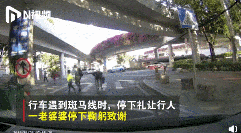 司机开车遇到斑马线礼让行人 一老人鞠躬致谢_手机