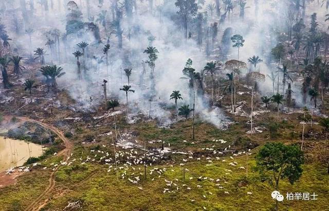 人类与自然的交锋面:在燃烧着的巴西亚马逊原始森林里