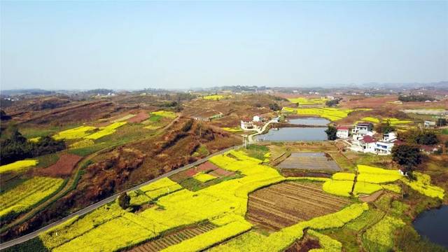 自贡市大安区,看看那里的"四好农村路"建设情况.