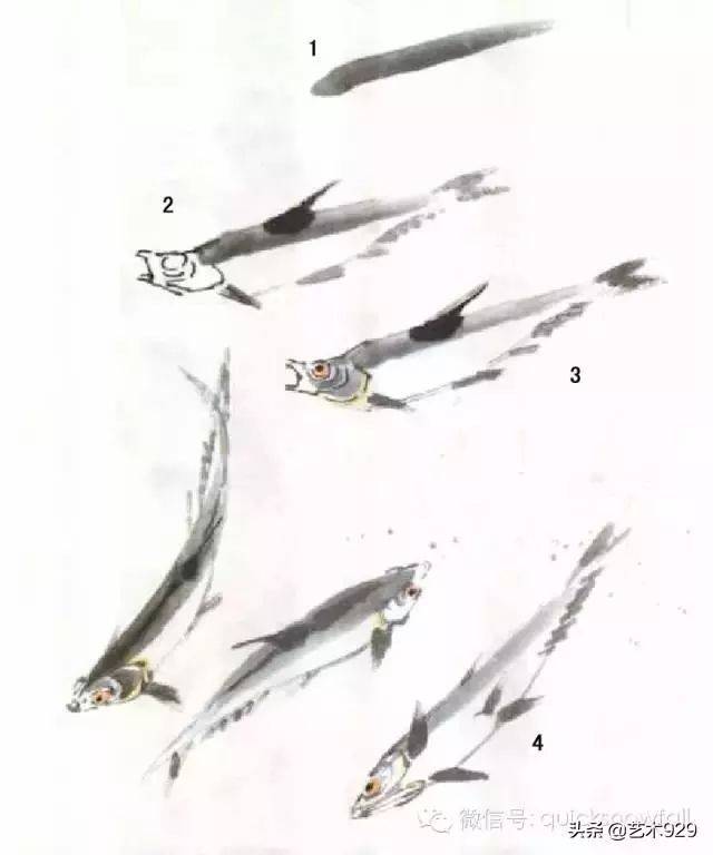 国画|各种鱼的写意画法