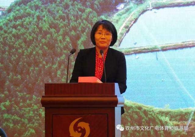 钦州市副市长李磊岩致辞