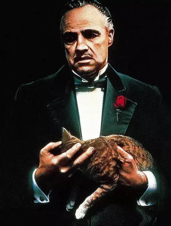 他是天才影帝,风流成性的好莱坞浪子,一部《教父》缔造不朽传奇