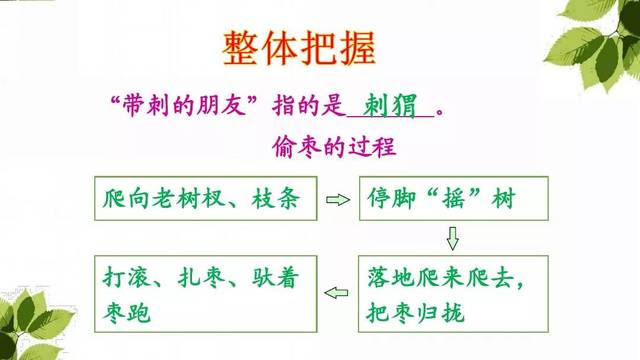 部编版三年级上册第23课《带刺的朋友》图文讲解