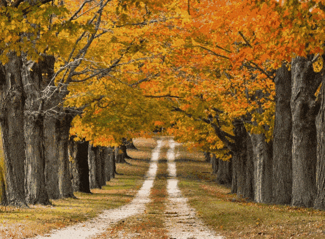 218丨即便再短暂,也没有人不爱秋天!