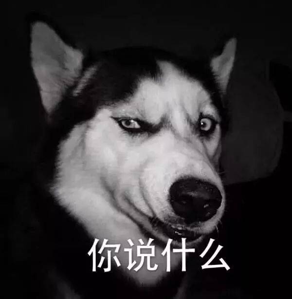 越到年末,沙雕事件越多,但要论最沙雕的,非二哈莫属.