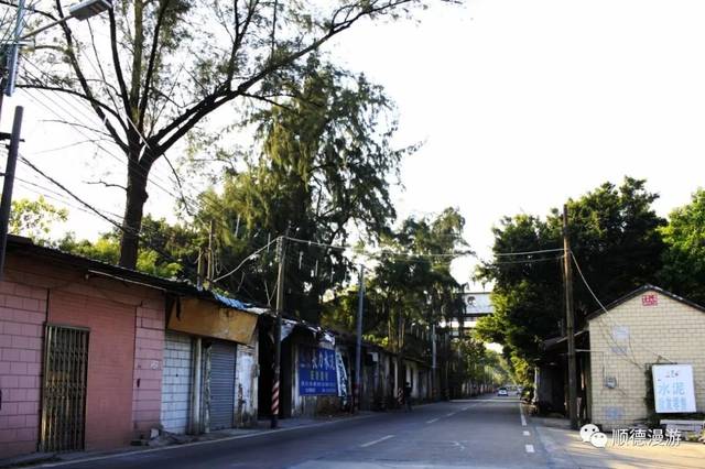 中顺路沙墟清拆民居,顺德酒厂,顺德糖厂西门,码头,沙头渡口,顺德支流