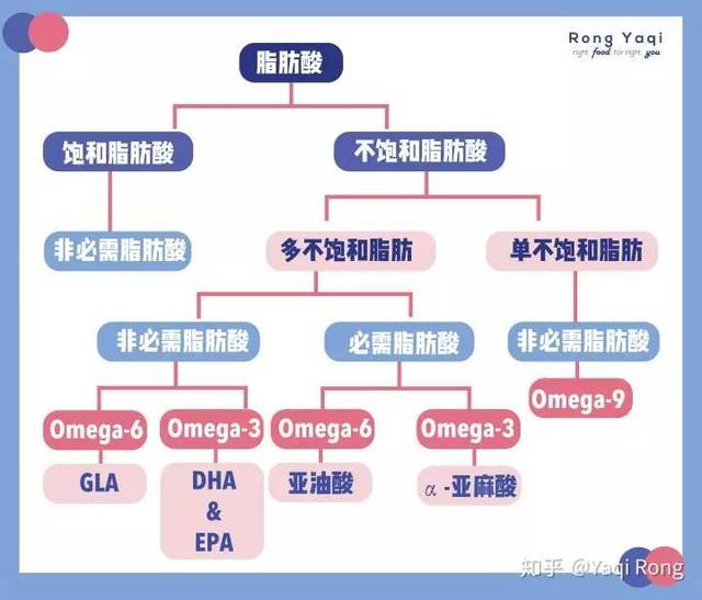 omega-9脂肪酸是非必需脂肪酸,机体可以自行合成