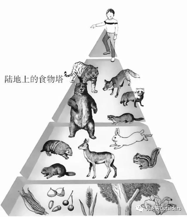 可以看出,处在食物链金字塔顶端的人类,是以几何级数倍的各类生物的