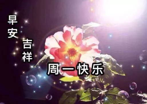 新的一天早上好问候语动画图片 周一早上好祝福简单句子