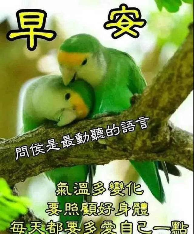 11月4日星期一群发早上好问候祝福动态表情图片 最美早晨好问候表情