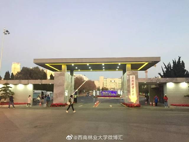 你好西南林业大学