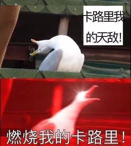 过于真实!"社会主义合法同居群"的沙雕日常