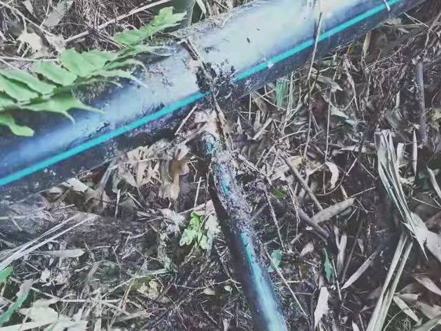 【猫捉老鼠】"水耗子"偷水?别以为是小事!触犯法律严惩不贷!