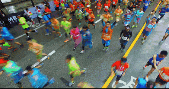 560_295gif 动态图 动图