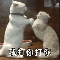 壁纸 动物 狗 狗狗 240_240 gif 动态图 动图