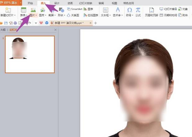 空白的幻灯片,然后点击上方插入,选择图片选项,选择把证件照然后打开
