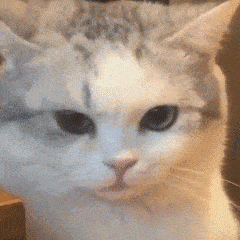 表情| 再累再困书得看,不然考试怎么办(沙雕表情包)