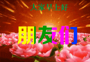 早上好动态表情包合集_手机搜狐网